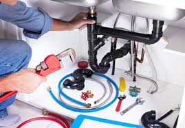 Best Green Plumbing Solutions and Water Conservation  in Plymouth, WI